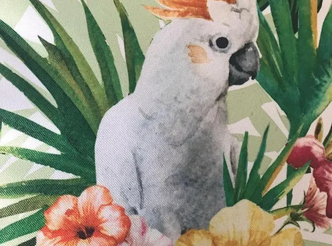 Ed&pat's Flat * El Médano